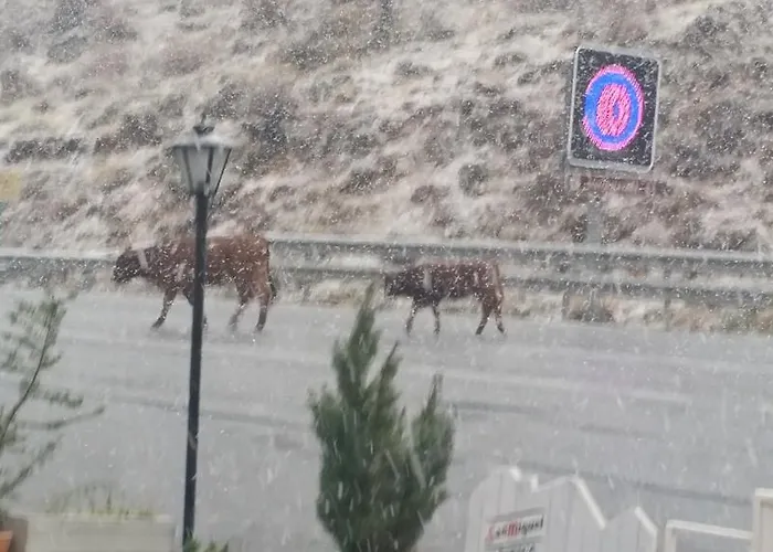 El Desvio 招待所 *