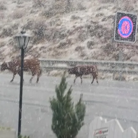 El Desvio Pensionat *